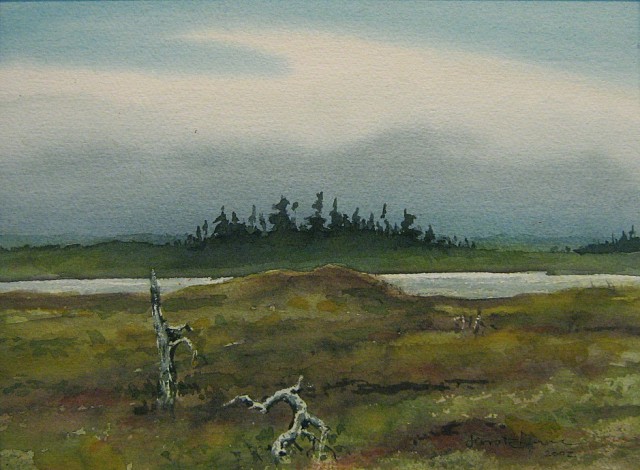 Muskeg Northern Peninsula - 2002 